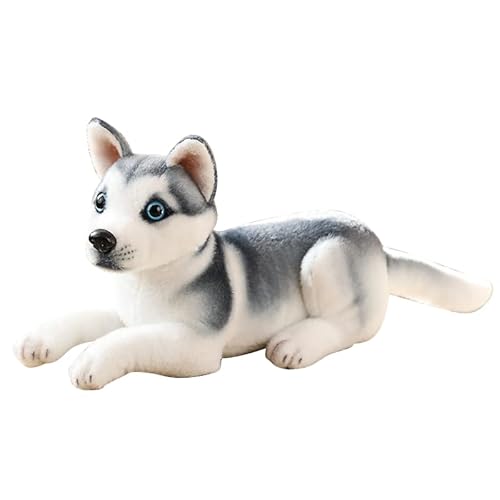 Liegender Husky Kuscheltier,32 cm Plüsch Hund, Stofftier Hund Lebensecht Liegender Hund Plüschtier Püppchen Simulation Tier Puppe Plüsch Schlafende Hunde für Kinde Geschenk Liegender Husky Kuscheltier,32 cm Plüsch Hund, Stofftier Hund Lebensecht Liegender Hund Plüschtier Püppchen Simulation Tier Puppe Plüsch Schlafende Hunde für Kinde Geschenk von Surakey