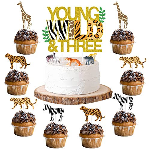 Sursurprise Dschungel Wild & Three Cake Topper, Dschungeltiere Cupcake Topper, Safari Dschungel Animal Print Happy 3 Geburtstag Kuchen Dekor, 3 Geburtstag Party Dekorationen 25 Pack von Sursurprise