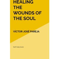 Healing the wounds of the soul von Sweek