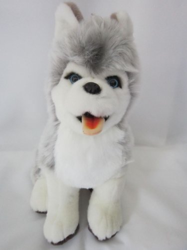 Sweety Toys 0661 Husky Plüschhuskie supersüss ca. 50 cm Hund softweich Sweety Toys 0661 Husky Plüschhuskie supersüss ca. 50 cm Hund softweich von Sweety Toys