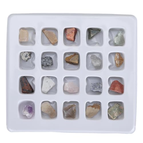 Rock Science Education Kit, 20-teiliges Rock Collection Kit. Lustige, Multifunktionale, Attraktive Dekoration für (Original Rock Set 2) von Sxhlseller