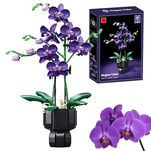 Lila Orchidee Bausteine Bausatz, 666-teile Künstlicher Blumenstrauß, DIY Klemmbausteine für Erwachsene mit Botanischer Kollektion, Dekoration für das Homeoffice, Geschenk für Frauen und ihre Liebsten Lila Orchidee Bausteine Bausatz, 666-teile Künstlicher Blumenstrauß, DIY Klemmbausteine für Erwachsene mit Botanischer Kollektion, Dekoration für das Homeoffice, Geschenk für Frauen und ihre Liebsten von SymGrpu