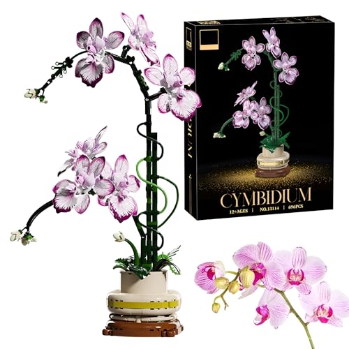 Orchideen Bonsai Bausteine Bausatz, 696 Stück Blumen Blumenstrauß Klemmbausteine, Botanical Collection Künstliche Pflanzen für Heimdekoration, Geschenkidee für Muttertag, Jahrestag, Geburtstag Orchideen Bonsai Bausteine Bausatz, 696 Stück Blumen Blumenstrauß Klemmbausteine, Botanical Collection Künstliche Pflanzen für Heimdekoration, Geschenkidee für Muttertag, Jahrestag, Geburtstag von SymGrpu