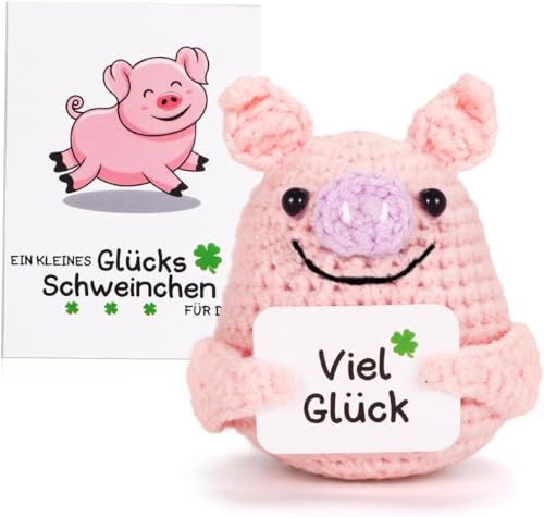 T TAKONE Glücksschweinchen, Pocket Hug Positive Schwein als Genesungsgeschenke für Krebspatienten - für Männer und Krebskranke Frauen Sowie als Geschenk zum Ersten Arbeitstag von T TAKONE