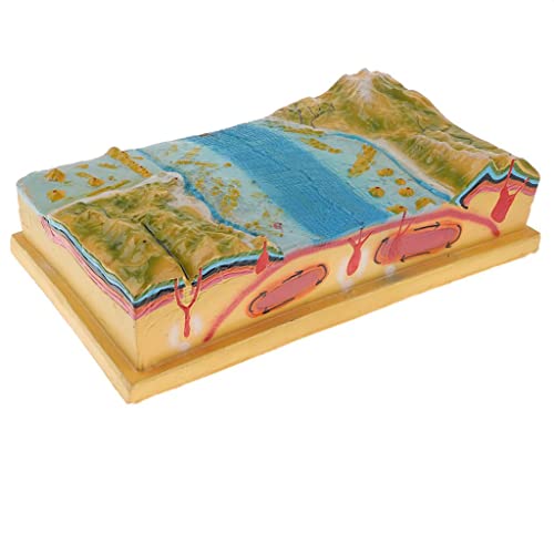 T TOOYFUL 3D Wissenschaftliche Plattentektonik Modell - Geographie Unterrichten Lehrmittel - 44 x 24 x 12 cm von T TOOYFUL