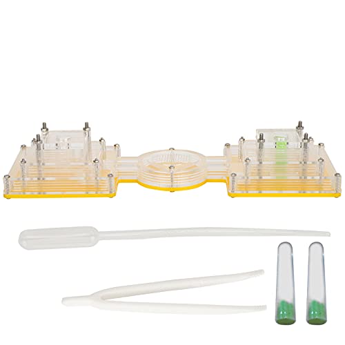 Ameisenhaus, Acryl-Ameisenschloss zum Füttern und Beobachten mit feuchtigkeitsspendendem Wasserturm, Formicarium-Ameisenfarm für Mini-Wissenschaftsunterricht, hochwertiges von TANIQIACA