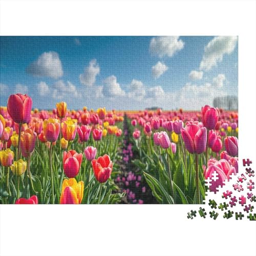 Tulip Puzzle 1000 Pieces Puzzle for Adults and Teenager from 14 Years Puzzle for Stress Reliever Home Decor 1000pcs (75x50cm) von TANLINGFL