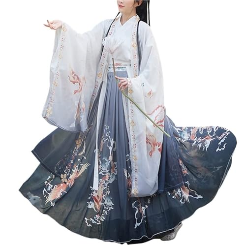 TBTROQXCT Chinesischer Hanfu-Umhang for Damen, langer Umhang mit Phönix-Aufdruck, weite Ärmel, offene Vorderseite, Strickjacke, fließende Hanfu-Robe, Kostüm der Wei Jin-Dynastie (Grau, M)(Gray1,S) von TBTROQXCT