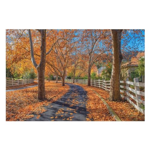 Autumn, Trees, Yellow Leaves, Path, Fence,，Puzzle für Erwachsene und Kinder ab 14 Jahren, 1000 StüCk，，Lernspielzeug FüR Kinder 52x38Papier von TCzRZ