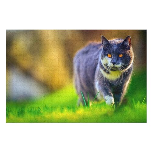 Klassische Puzzle für Erwachsene Teenager Freizeit Spaß Spiel Spielzeug Geeignet，Black cat Green Eyes Walk Grass, ，Lernspielzeug FüR Kinder Papier 38x26 von TDXYz