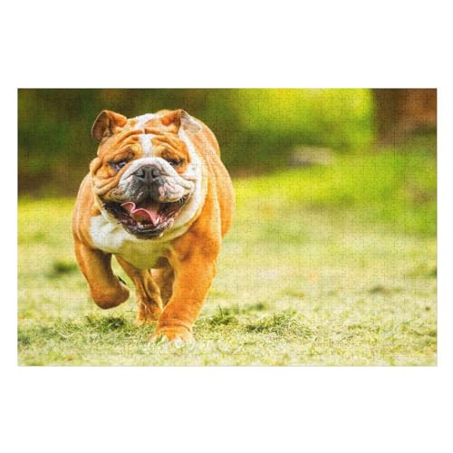 Klassische Puzzle für Erwachsene Teenager Freizeit Spaß Spiel Spielzeug Geeignet，Bulldogge auf Einer Wiese，Lernspielzeug FüR Kinder Holz 75x50 von TDXYz