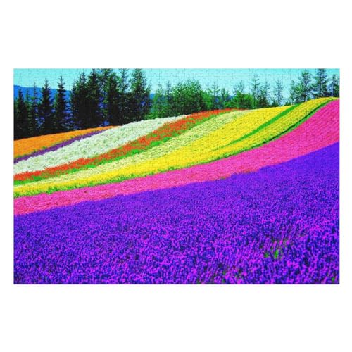 Klassische Puzzle für Erwachsene Teenager Freizeit Spaß Spiel Spielzeug Geeignet，Colorful Flowers Field Strip，，Lernspielzeug FüR Kinder Holz 75x50 von TDXYz