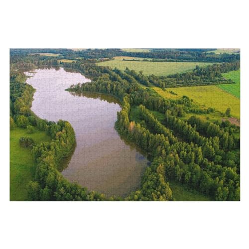 Klassische Puzzle für Erwachsene Teenager Freizeit Spaß Spiel Spielzeug Geeignet，Green Trees, Lake, Fields, ，Lernspielzeug FüR Kinder Holz 75x50 von TDXYz