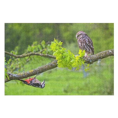 Klassische Puzzle für Erwachsene Teenager Freizeit Spaß Spiel Spielzeug Geeignet，Owl and Woodpecker,Tree Branch, ，Lernspielzeug FüR Kinder Holz 75x50 von TDXYz