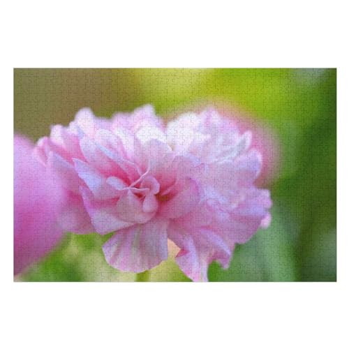 Klassische Puzzle für Erwachsene Teenager Freizeit Spaß Spiel Spielzeug Geeignet，，Pink Peony Flower Petals, ，Lernspielzeug FüR Kinder Holz 75x50 von TDXYz