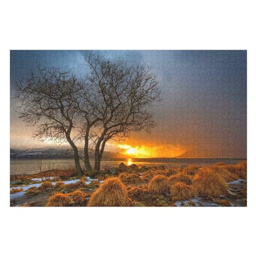 Klassische Puzzle für Erwachsene Teenager Freizeit Spaß Spiel Spielzeug Geeignet，Trees, Grass, Sunset, sea, Clouds, ，Lernspielzeug FüR Kinder Holz 75x50 von TDXYz