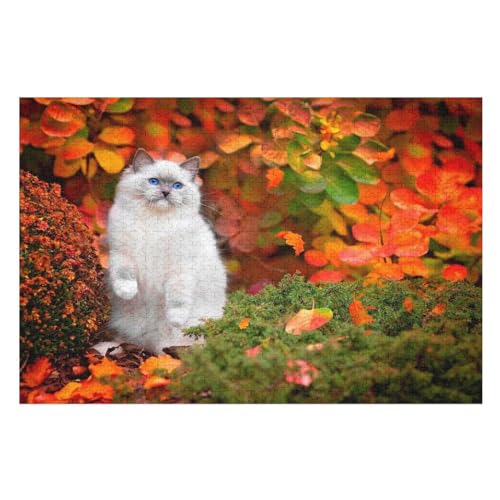 Klassische Puzzle für Erwachsene Teenager Freizeit Spaß Spiel Spielzeug Geeignet，White cat Blue Eyes, red Leaves Autumn，，Lernspielzeug FüR Kinder Papier 70x50 von TDXYz