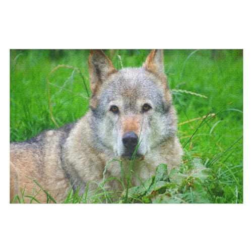 Klassische Puzzle für Erwachsene Teenager Freizeit Spaß Spiel Spielzeug Geeignet，Wolf Rest Look face, ，Lernspielzeug FüR Kinder Holz 75x50 von TDXYz