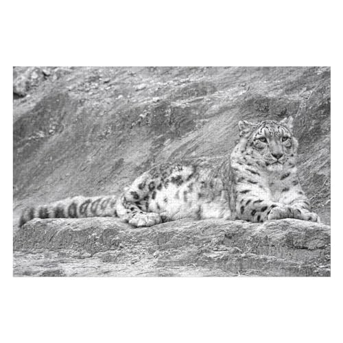 Puzzle für Erwachsene und Kinder ab 14 Jahren, 1000 StüCk， Schnee-Leopard ，Lernspielzeug FüR Kinder Papier 52x38 von TDXYz