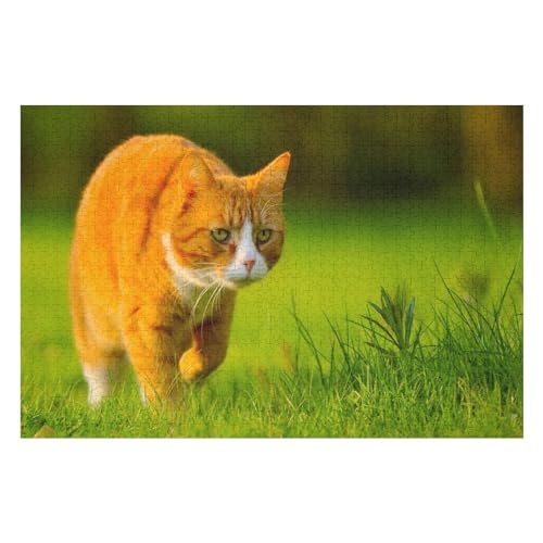 Puzzle für Erwachsene und Kinder ab 14 Jahren, 1000 StüCk，Gelbe Katze jagt，，Lernspielzeug FüR Kinder Papier 38x26 von TDXYz