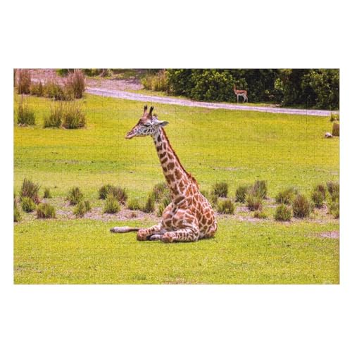 Puzzle für Erwachsene und Kinder ab 14 Jahren, 1000 StüCk，Giraffe Grass Rest ，，Lernspielzeug FüR Kinder Papier 38x26 von TDXYz