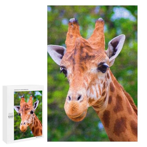 Puzzle für Erwachsene und Kinder ab 14 Jahren, 1000 StüCk，Giraffe Puzzle ，Lernspielzeug FüR Kinder Holz 75x50 von TDXYz