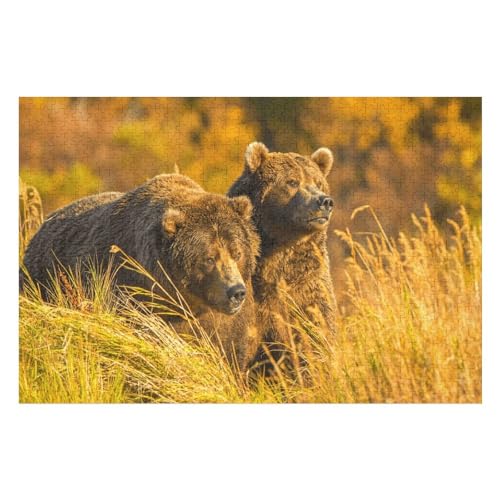 Wohnkultur Geburtstag ，Challenging Games Moderne Lernspiel Stress Relief ，1000 StüCk，Zwei Grizzlybären im Gras，，Lernspielzeug FüR Kinder Papier 38x26 von TDXYz