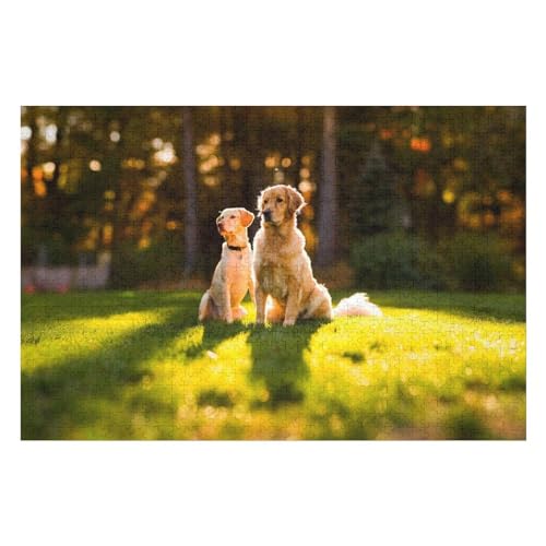 Wohnkultur Geburtstag ，Challenging Games Moderne Lernspiel Stress Relief ，1000 StüCk，Zwei Hunde in der Sonne auf dem Gras，，Lernspielzeug FüR Kinder Holz 75x50 von TDXYz