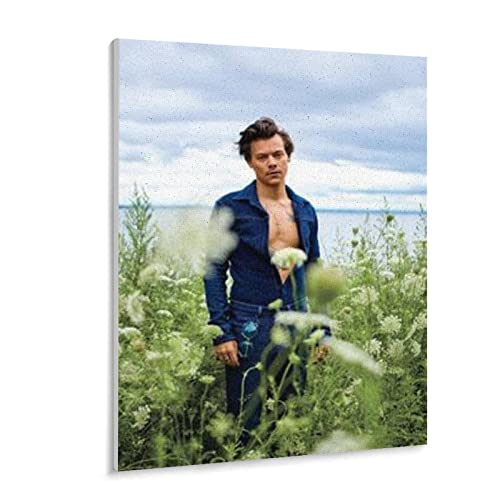 Papierpuzzle 1000 Stück Harry Style Puzzles Lernspielzeug Für Erwachsene Geburtstagsgeschenk（38x26cm-z116p von THEVWL