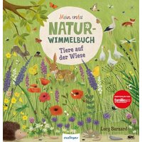 THIENEMANN 823733 Mein erstes Natur-Wimmelbuch - Tiere auf der Wiese THIENEMANN 823733 Mein erstes Natur-Wimmelbuch - Tiere auf der Wiese von THIENEMANN