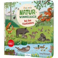 THIENEMANN 823844 Mein erstes Natur-Wimmelbuch - Bei den Tierkindern von THIENEMANN