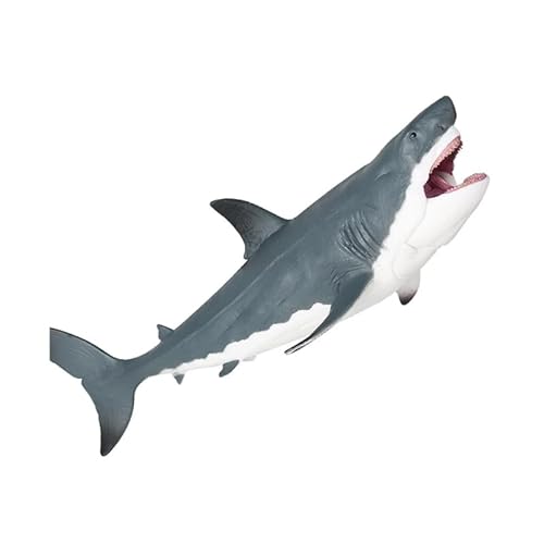 THINCAN Detaillierte Megalodon-Figur, perfekt für pädagogische Anzeige, Widgets, Miniaturen, pädagogische Spielzeugfigur von THINCAN