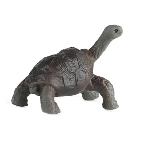 THINCAN Detaillierte Schildkrötenfigur, perfekt für pädagogische Anzeige, Widgets, Miniaturen, pädagogische Spielzeugfigur von THINCAN