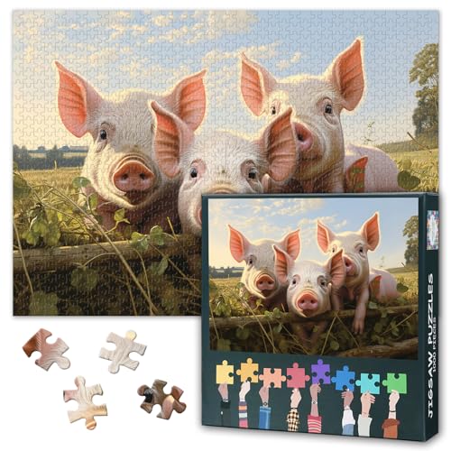 1000 Teile Puzzle für Erwachsene - Entzückende Ferkel auf Sonnenuntergangswiese mit goldenem Gras Puzzles 1000 Teile, coolste Erwachsenenpuzzles - 69,8 x 50 cm 1000 Teile Puzzle für Erwachsene - Entzückende Ferkel auf Sonnenuntergangswiese mit goldenem Gras Puzzles 1000 Teile, coolste Erwachsenenpuzzles - 69,8 x 50 cm von TISHIRON