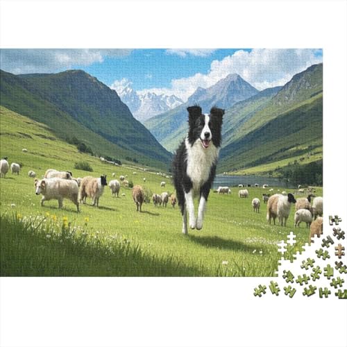 Border Collie Puzzle Flock of Schafe Lernspiel 1000 Teile Geschicklichkeitsspiel Holzpuzzles PuzzlePädagogisches Für Erwachsene Kinder 1000pcs (75x50cm) von TJLROUVNK