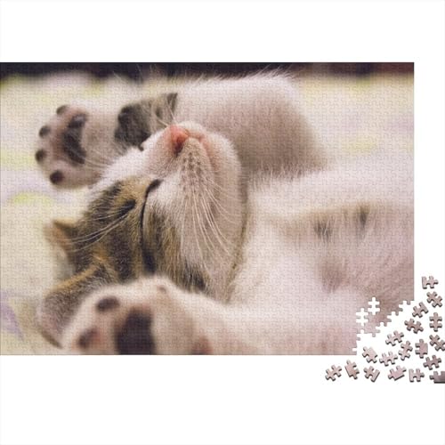 Katzen Puzzle Tier Lernspiel 1000-teilige Herausforderungsspielzeug Holzpuzzles PuzzlePädagogisches Für Erwachsene Und Kinder Ab 14 Jahren 1000pcs (75x50cm) von TJLROUVNK