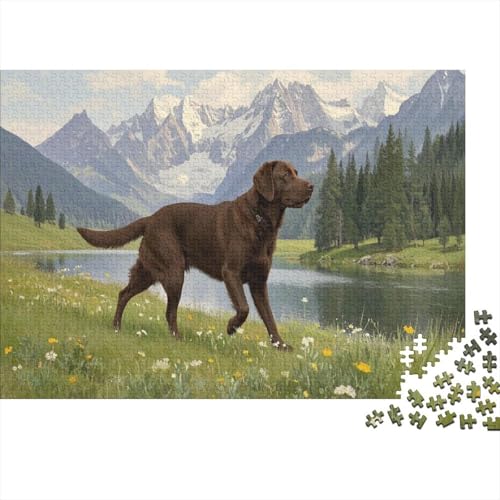 Labrador Puzzle Seeufer Lernspiel 1000 Teile Stressabbau-Spielzeug Holzpuzzles PuzzlePädagogisches Für Erwachsene Und Kinder Ab 14 Jahren 1000pcs (75x50cm) von TJLROUVNK