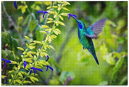 1000 Pieces Jigsaw Puzzles for Adults Kids,Tropical Hummingbird Jigsaw Puzzle Educational Games Home Decoration38*26cm von TNTEVX