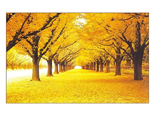 1000 Teile Puzzle DIY Ginkgo Road Scape Zusammenbauen Spielzeug für Erwachsene 26x38CM von TNTEVX