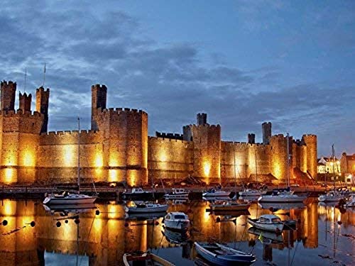 1000-teiliges Holzpuzzle „Bootshafen in Caernarfonle“, großes Puzzlespiel für Erwachsene und Jugendliche, 26 x 38 cm von TNTEVX