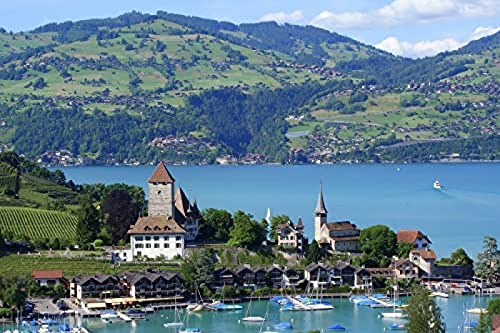 1000-teiliges Puzzle für Erwachsene, Interlaken, Schweiz, Denksport-Puzzle für Kinder, Lernspiele, perfekt für Kinder, Lernspiel, Unterhaltungsgeschenk. 38 x 52 cm von TNTEVX