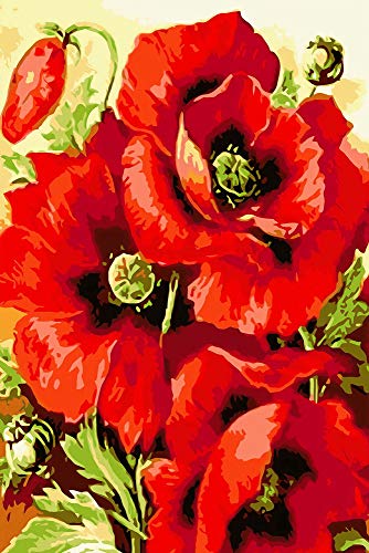 Holzpuzzle Spielzeug Kunst DIY Dekoration Mohn Puzzle für Erwachsene 1000 Teile Dekoration Malerei 50x70CM von TNTEVX