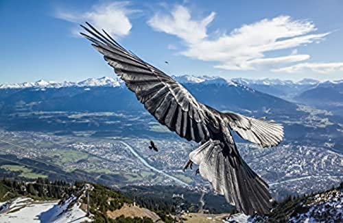 Jigsaw 1000 Piece Alpine Aerial Eagle Puzzles Impossible Jigsaw for Adults and Kids，for Birthday Thanksgiving38x52CM von TNTEVX