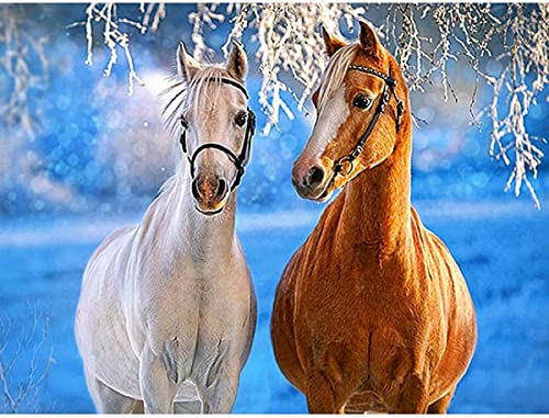 Jigsaw Puzzle 1000 Piece Two Horses Classic Puzzle 3D Puzzle DIY Kit Wooden Toy Unique Gift Home Decor38*26cm von TNTEVX