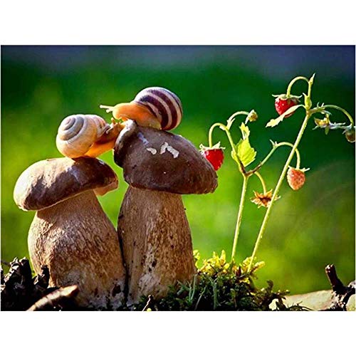 Kinderpuzzle 1000 Teile Schneckenpaar über dem Pilz Holzpuzzle für Erwachsene Amateurkunstspiel Puzzle Kreatives Spielzeug Puzzles Dekoration Gemälde38x26CM von TNTEVX