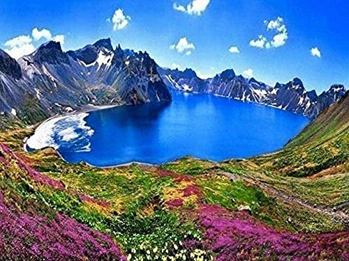 Landscape Jigsaw Puzzle Cardboard 1000 Pieces Puzzle - Spectacular Lake, Adult Decompression, Children's Intelligence Development Puzzles 38 * 26cm von TNTEVX