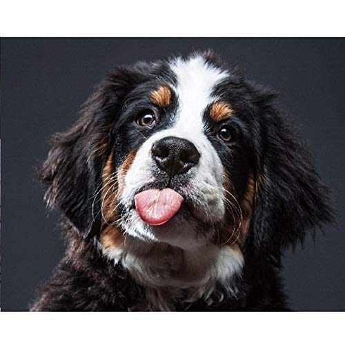 Puzzle 1000 Pieces Adult Wooden Jigsaw Puzzle Puppy Bernese Mountain Dog, Puzzle Toy for Adults and Children, Puzzle Craft Set Decoration painting38x52CM von TNTEVX