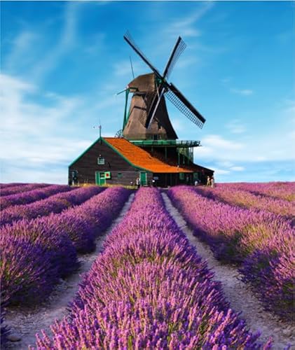 Puzzle 1000 Teile, Landschaft, Lavendel, Blumen, Meer, Poster, Puzzle, Lernspielzeug für Erwachsene, 38 x 52 cm von TNTEVX