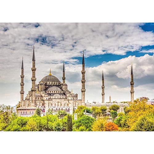 Puzzle 1000 Teile Moschee Istanbul Puzzle Puzzle Spielzeug für Erwachsene Kinder Lernspielzeug/1000 Teile 26x38CM von TNTEVX