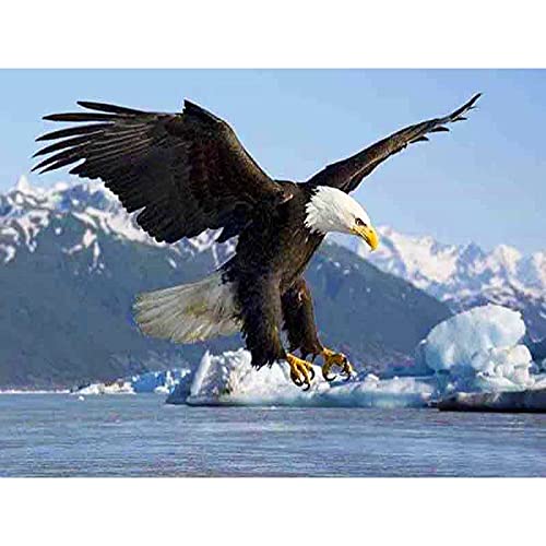 Puzzle 1000 Teile Tier Vogel Weißkopfadler Puzzle für Erwachsene Buntes Legespiel Geschicklichkeitsspiel für die ganze Familie Dekoration Gemälde38x26CM von TNTEVX